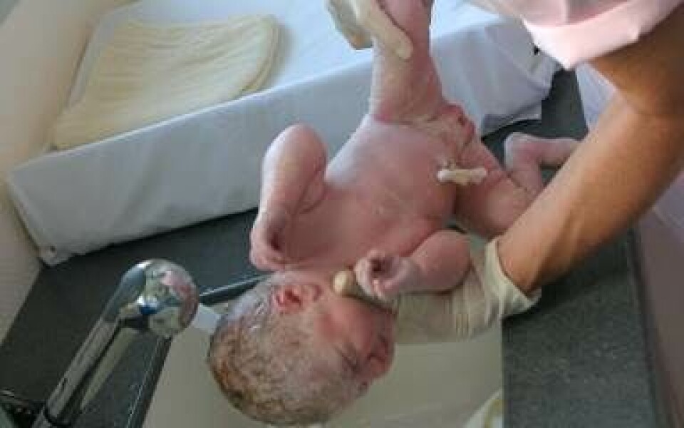 Opbevaring af stamceller