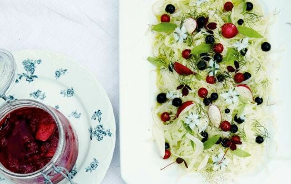 Fennikelsalat med bær og sommerurter