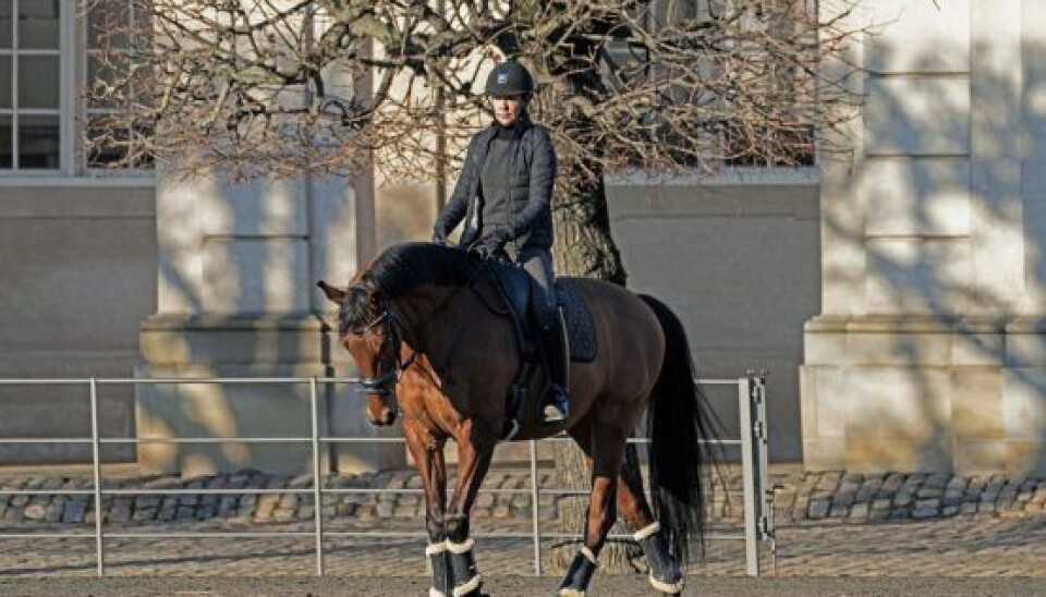 Kronprinsse Mary rider på Christiansborg ridebane. (Foto: Anthon Unger)