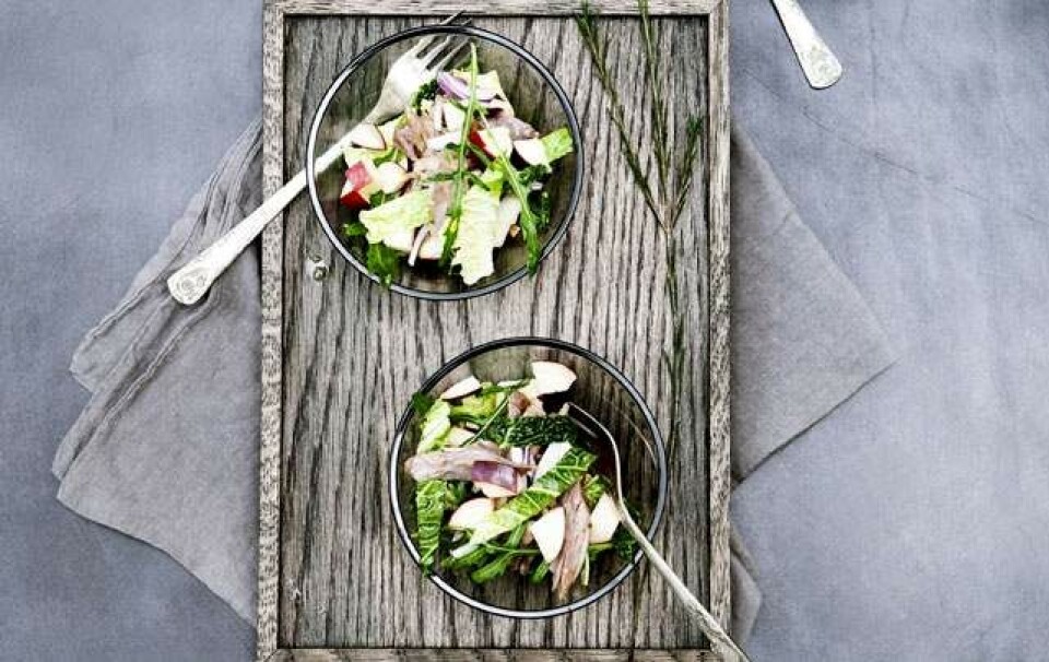 Salat med andelår, æble og savojkål