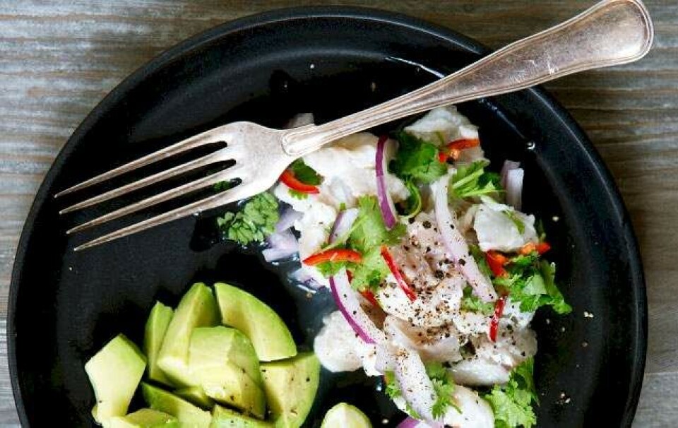 Opskrift på ceviche med lime, koriander og chili