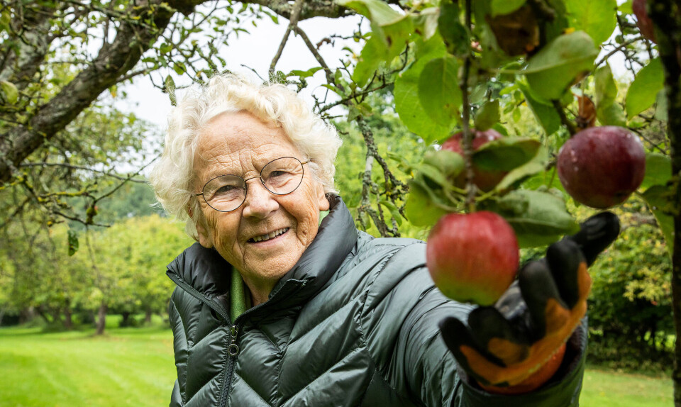 Grethe Hansen