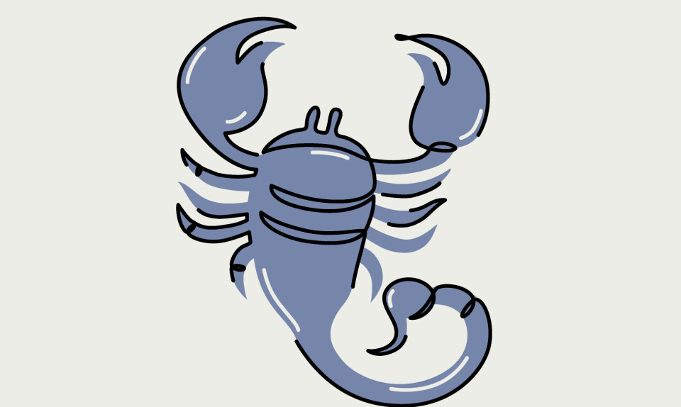 Skorpionen