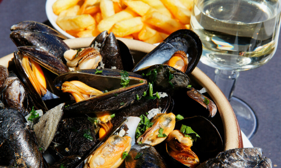 Moules Frites-festival København, Aalborg, Roskilde og Rungsted