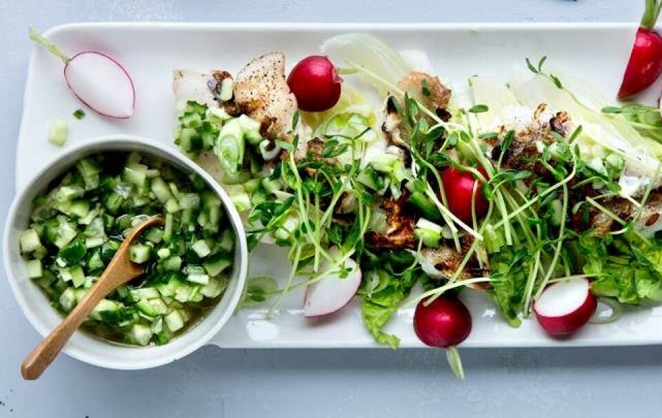 Få opskriften på grillet fisk med agurkesalsa