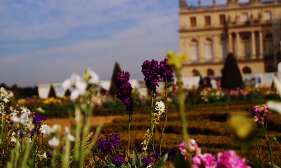 Haven ved Versailles