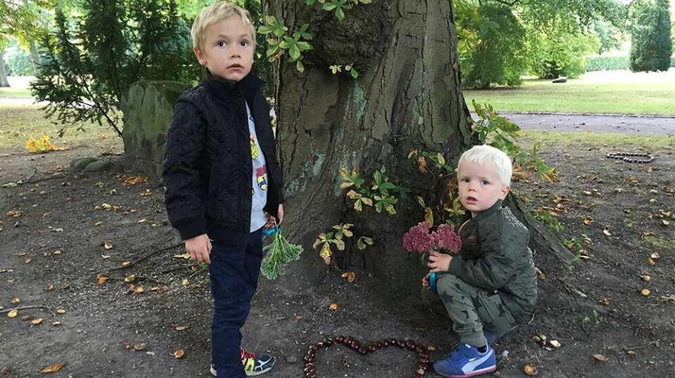 Når kæledyr dør