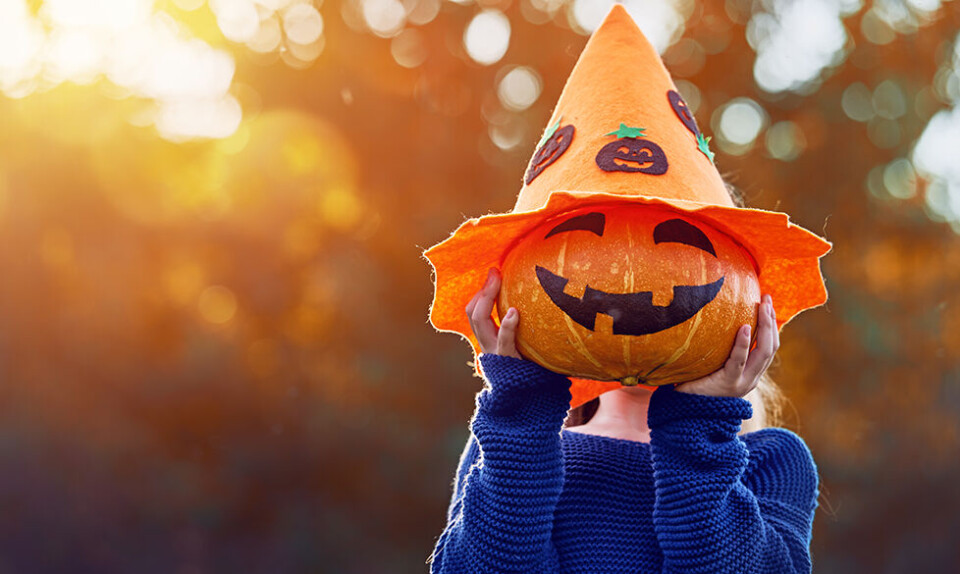Halloween græskar og græskar udskæring