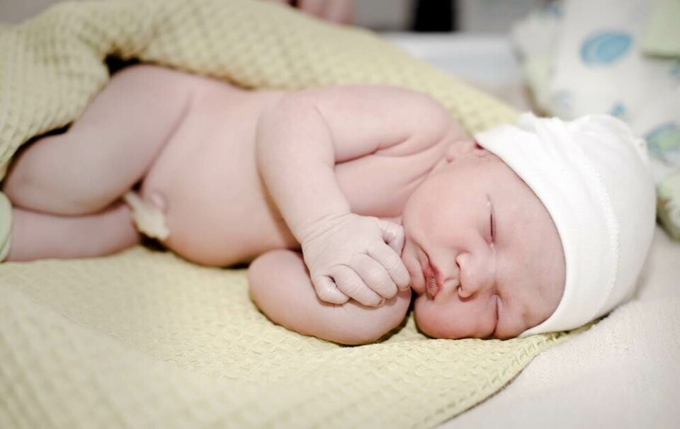 Stamceller fra navlestrengen