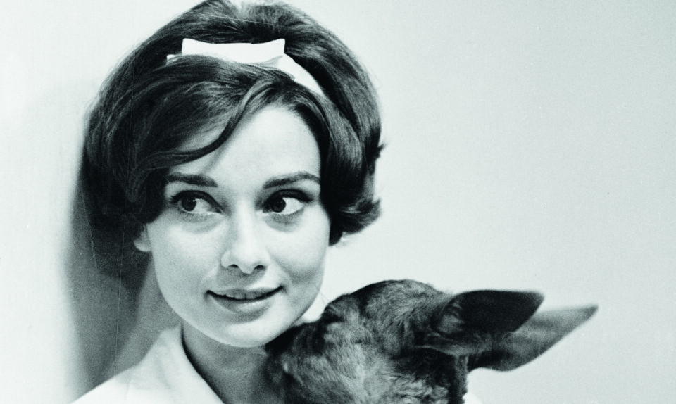 Audrey Hepburn kæledyr