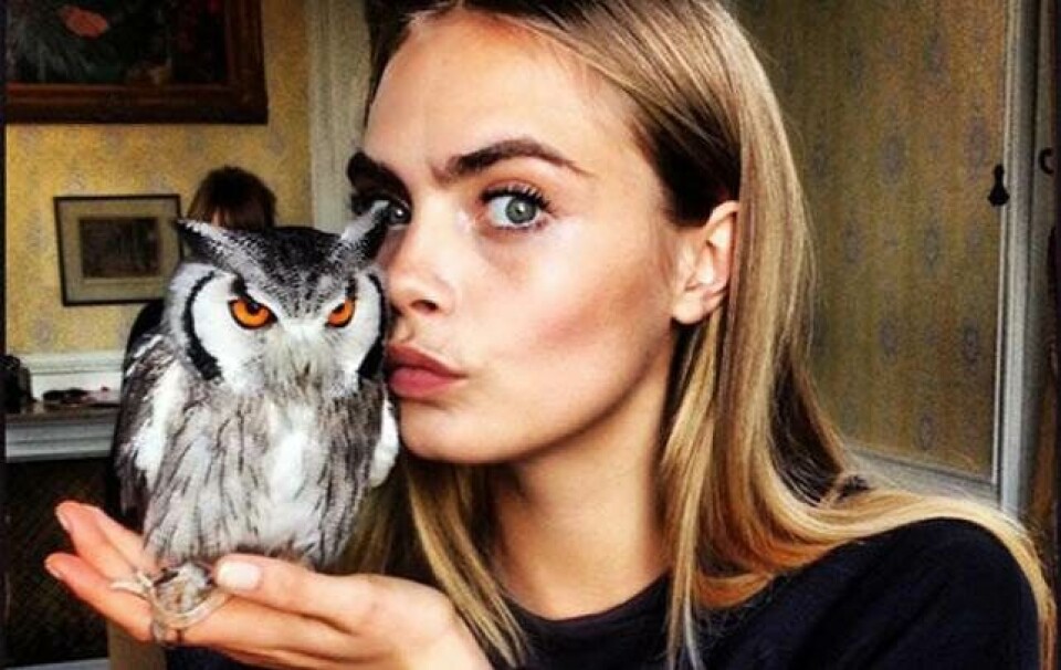 Cara Delevingne får ny filmrolle