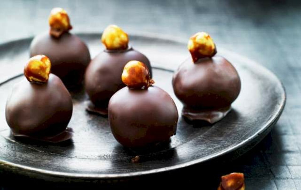 Lys chokoladetrøffel med hasselnødder