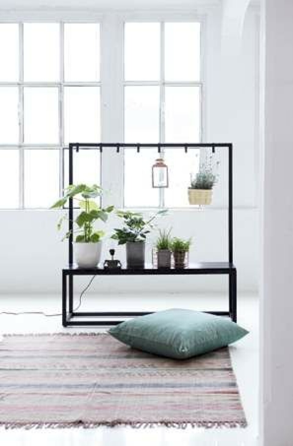 8 fund: Indret med flora og fauna