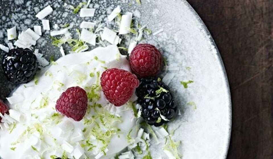 Christian Bitz og Arne Astrup: Verdens sundeste mor og barn