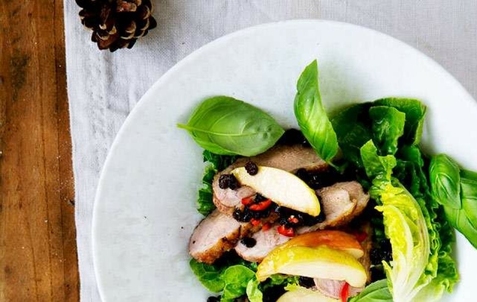 Salat med andebryst