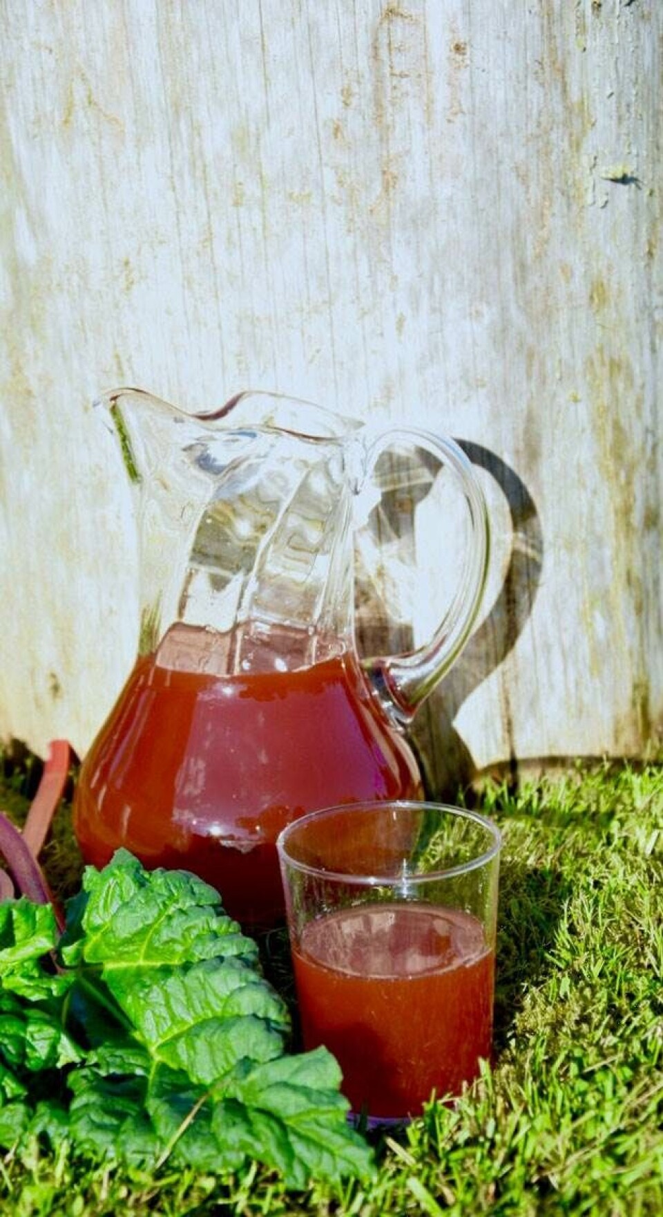Rabarbersaft med ingefær fra Hjemmet