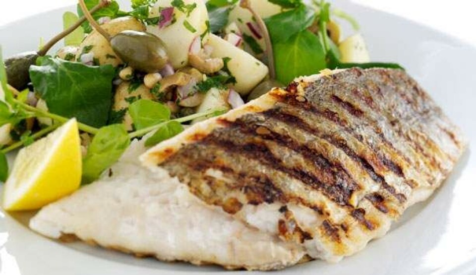 Opskrift på grillet fisk med kartoffelsalat