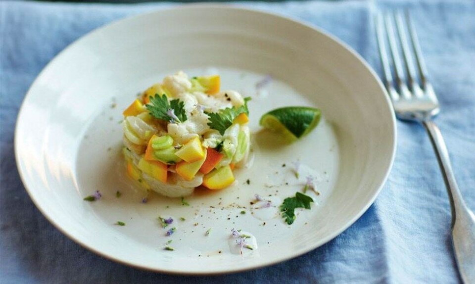 Tatar af rå fisk med kokoscreme
