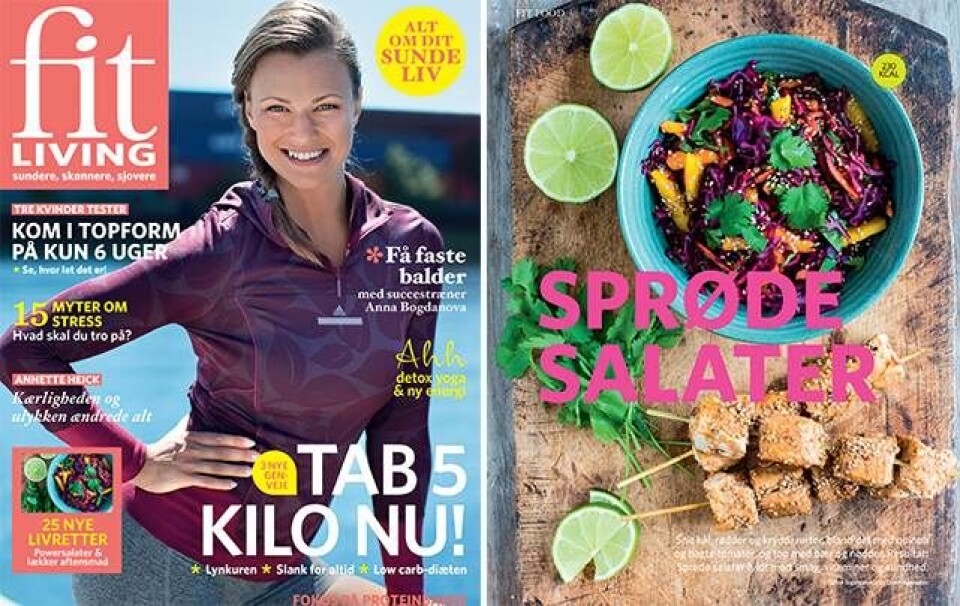 Billede 1 - Smugkig i fit livings september-magasin