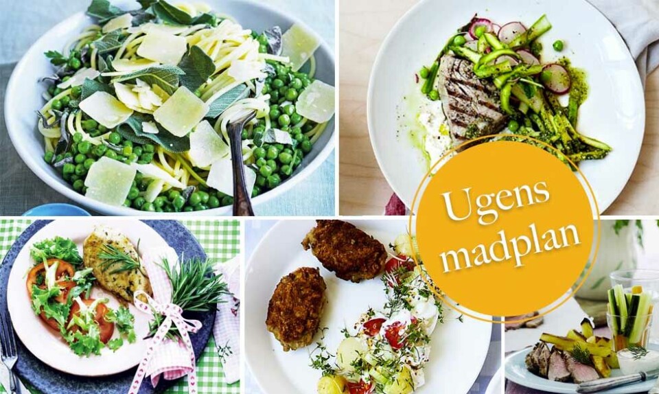 Madplan med opskrifter