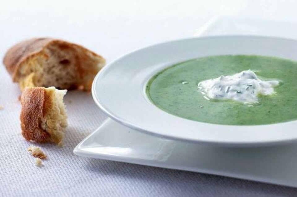 Broccolisuppe