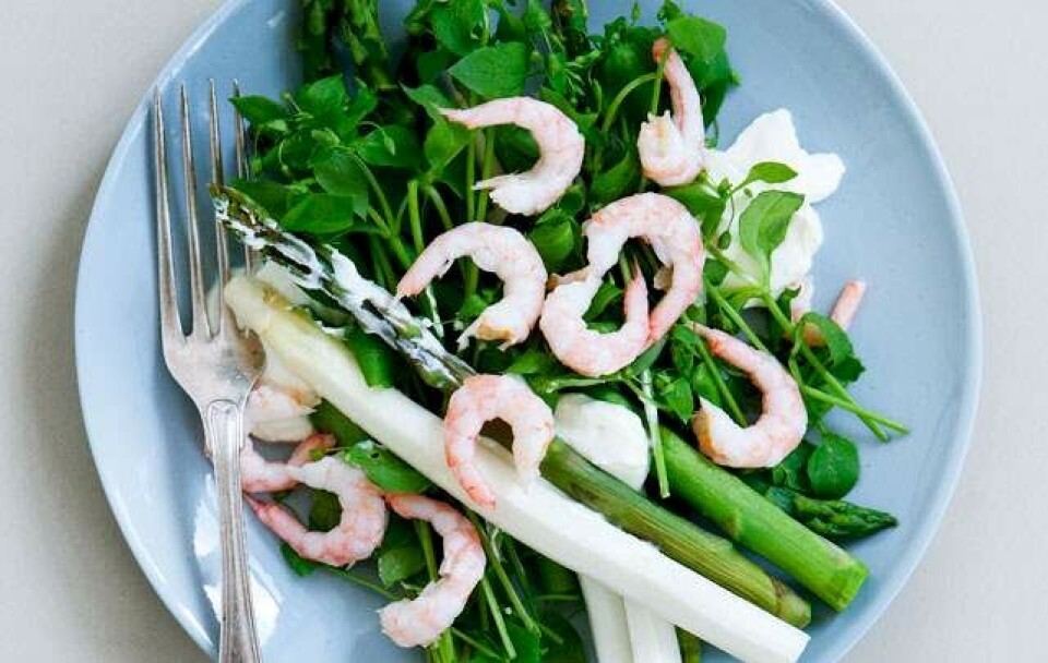 Opskrift på asparges med rygeost, rejer og ramsløg