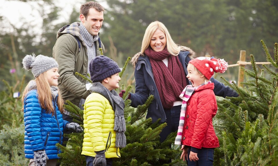 Sammenbragt familie i julen