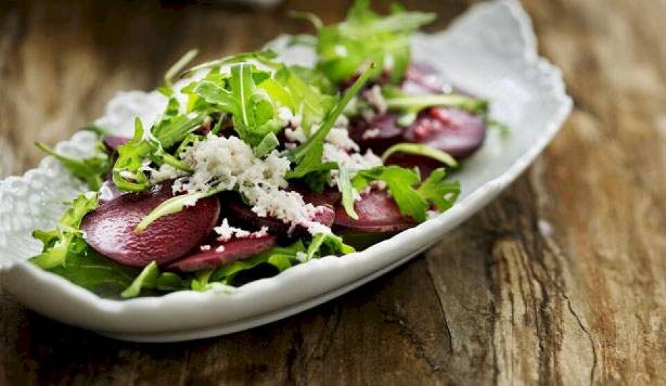 Opskrift på rødbedecarpaccio med parmesan, rucola og avocadoolie