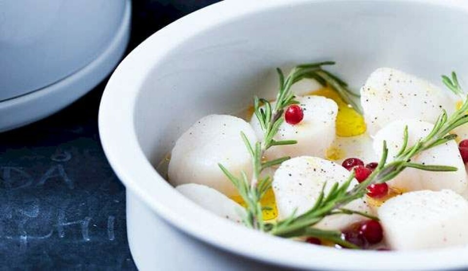 Opskrift på kammuslinger med æbler og blommer og gul mayonaise