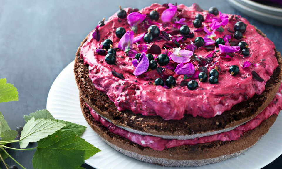 Chokoladekage med solbærcreme