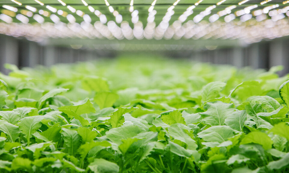 Vertical farming