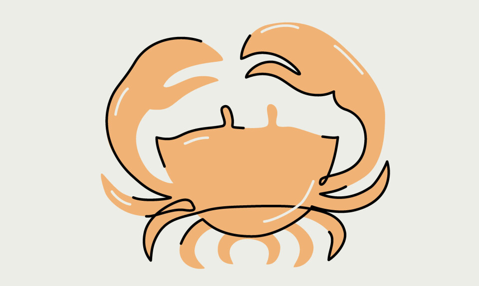 Krebs