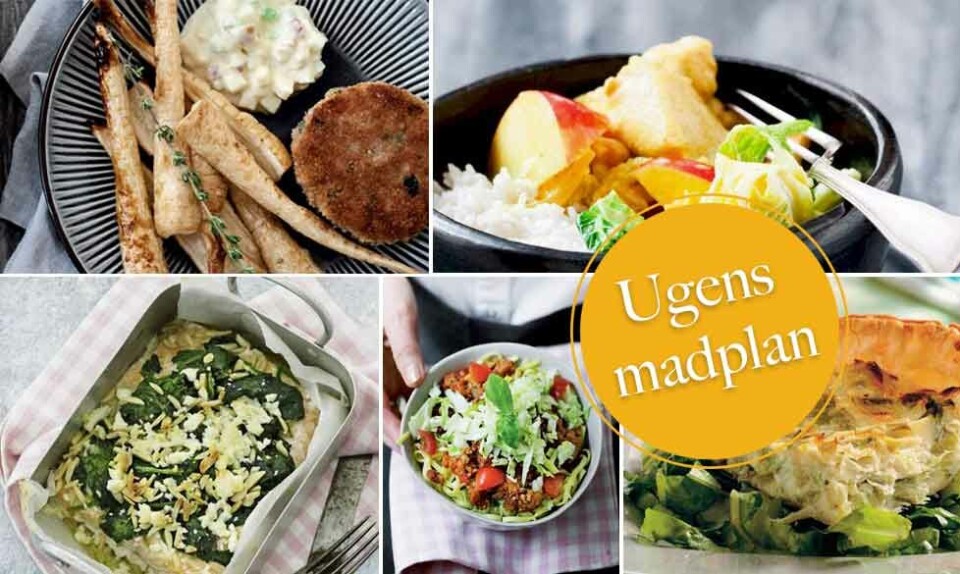 Nem aftensmad madpan til hele ugen