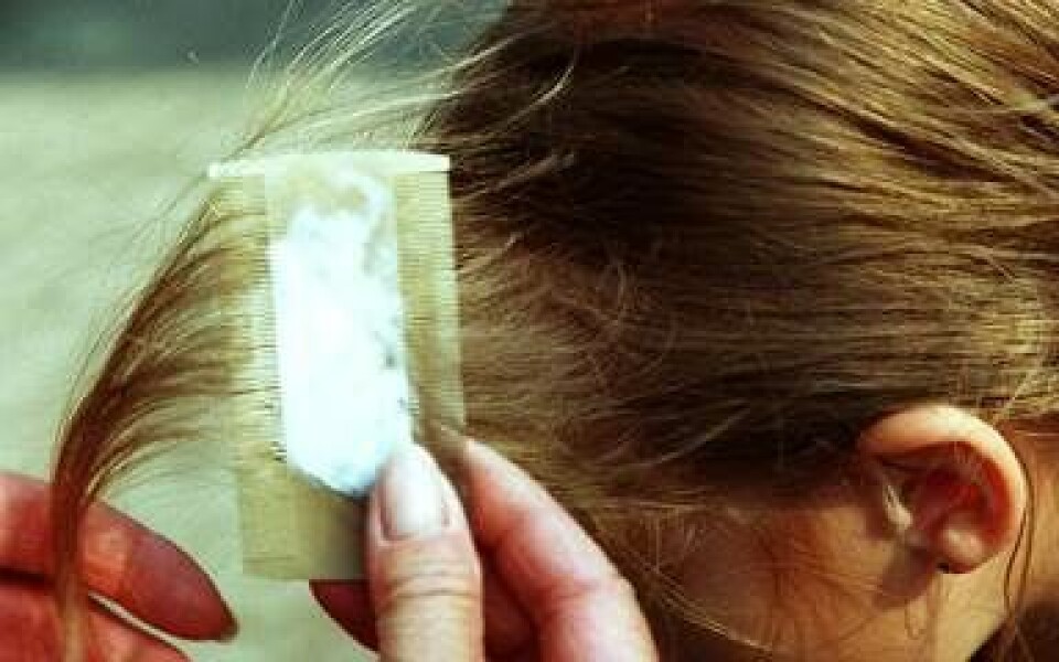 Dilemma: Pige med lus fravælges