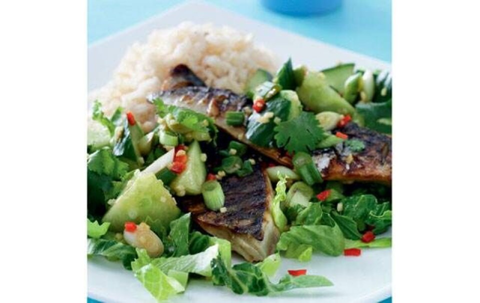 Billede 1 - Grillet makrel med asiatisk agurkesalat