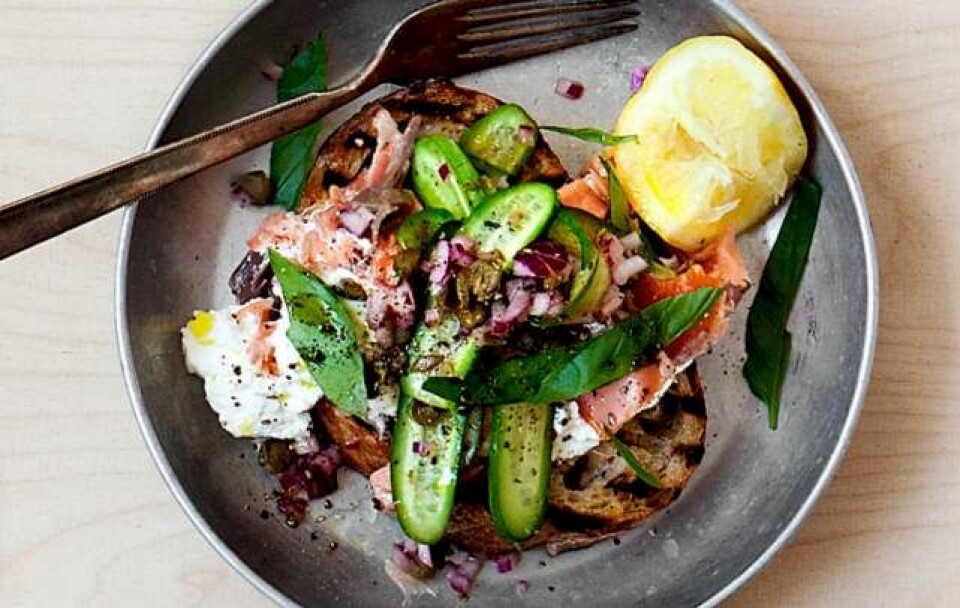 Opskrift på grillet brød med varmrøget laks og ricotta ost