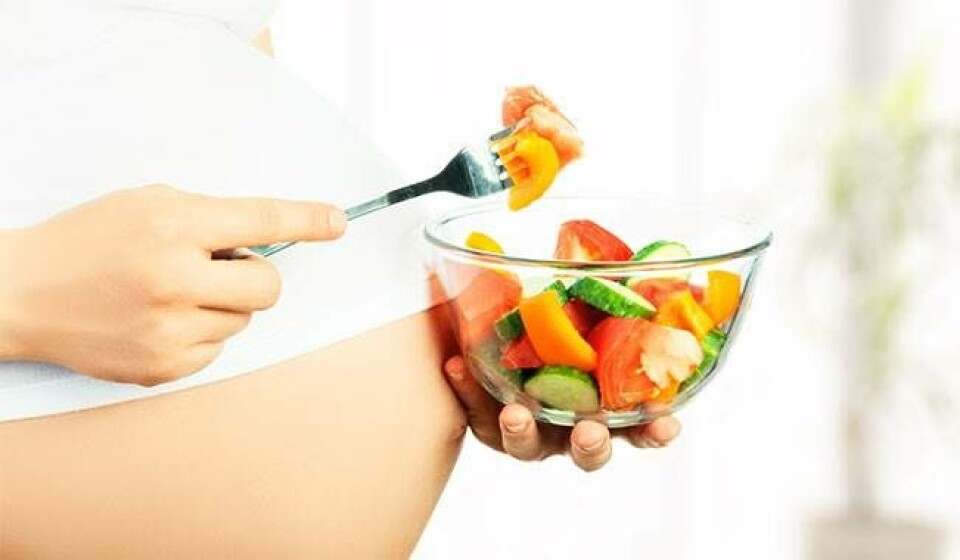 Opskrifter gravid