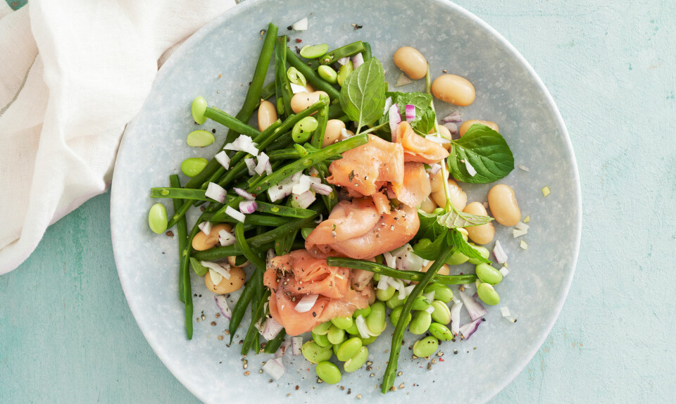 Røget ørred med bønnesalat og mynteyoghurt
