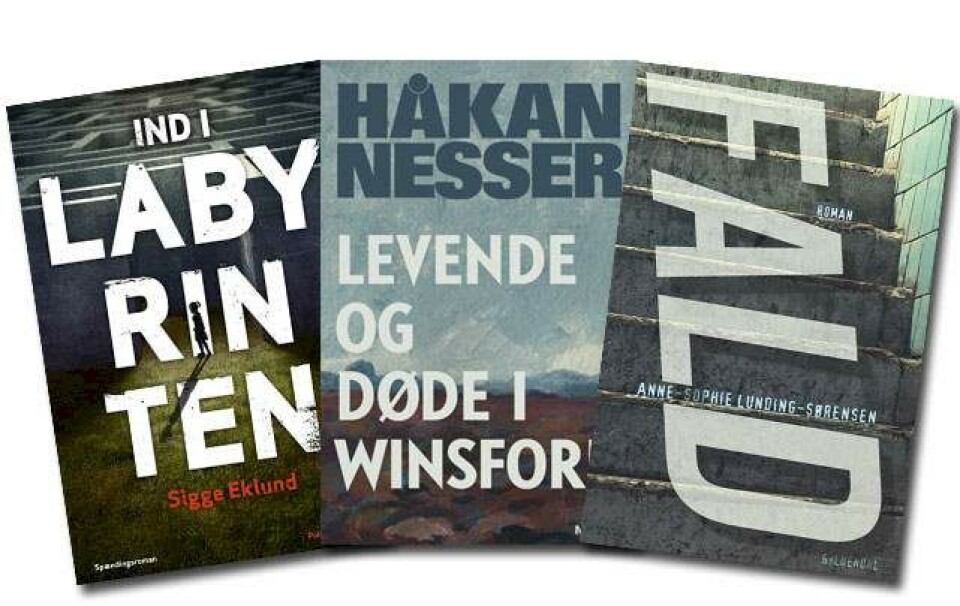 Ugens bøger: 'En anderledes underholdende krimi'