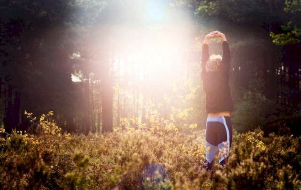 Sund & slank: Her er de bedste tips