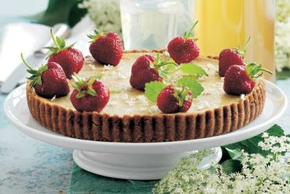 Cheesecake med hyldeblomster
