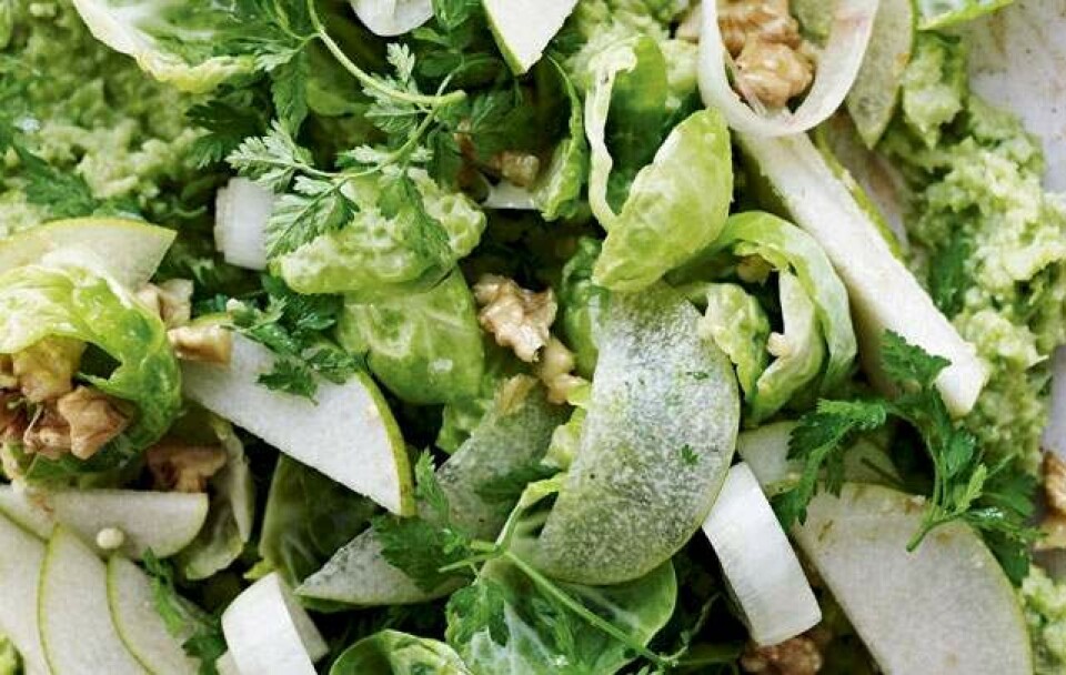 Få opskriften på rosenkålspuré med sprød salat