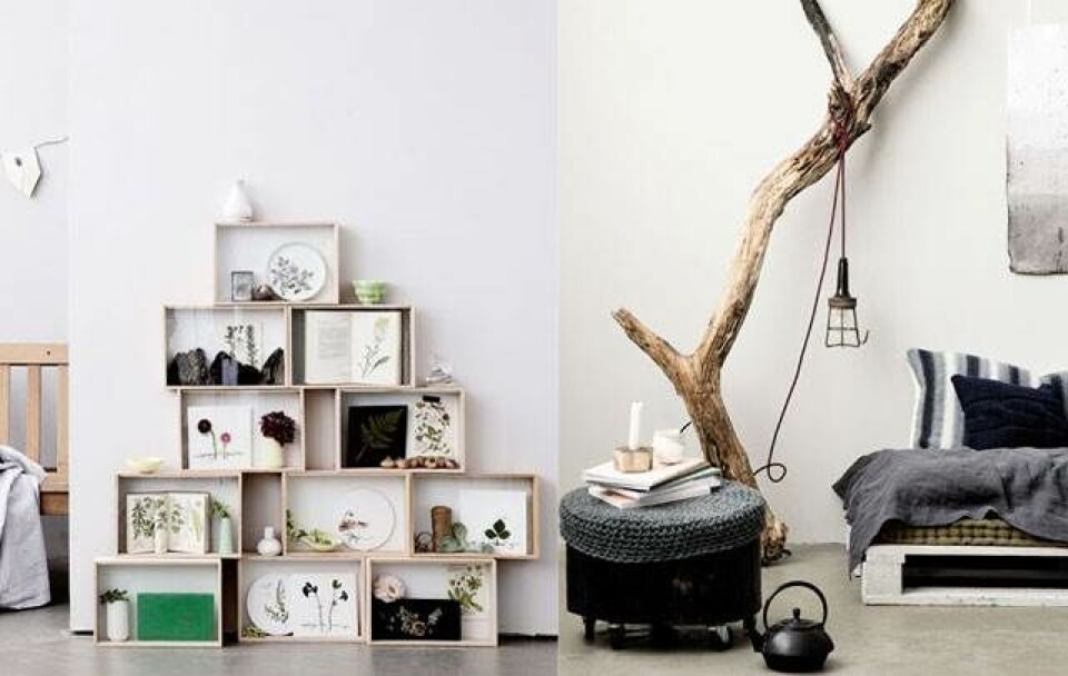 DIY: Tag naturen med hjem DIY: Tag naturen med hjem