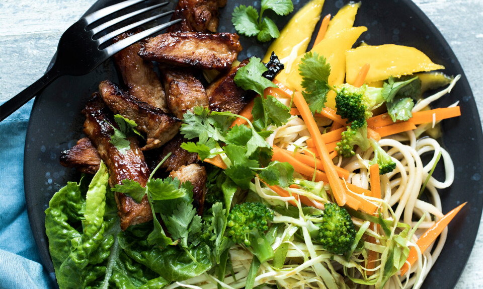 Nudelsalat med teriyakistegt kød
