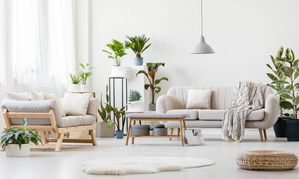 11 tips: Sådan får du en sund bolig
