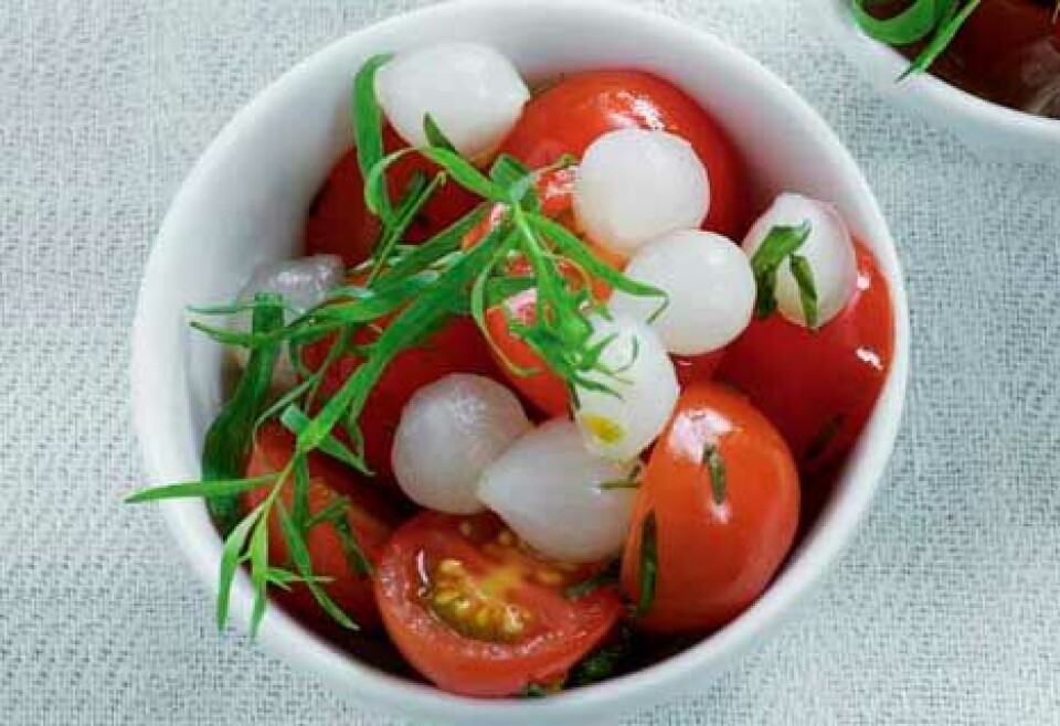 Tomatsalat med estragon
