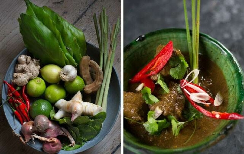 Vietnamesiske opskifter