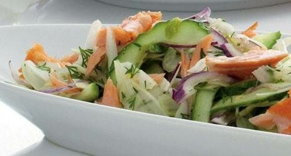 Varmrøget laks og agurke/fennikelsalat