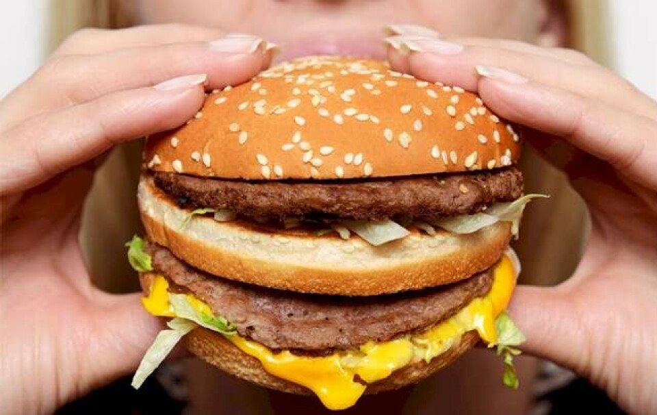 Det sker der i kroppen, når du spiser fast food