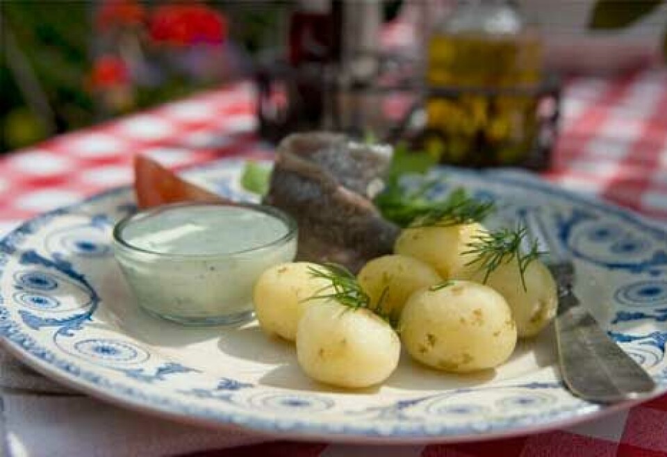 Nye kartofler med marinerede sild Nye kartofler med marinerede sild